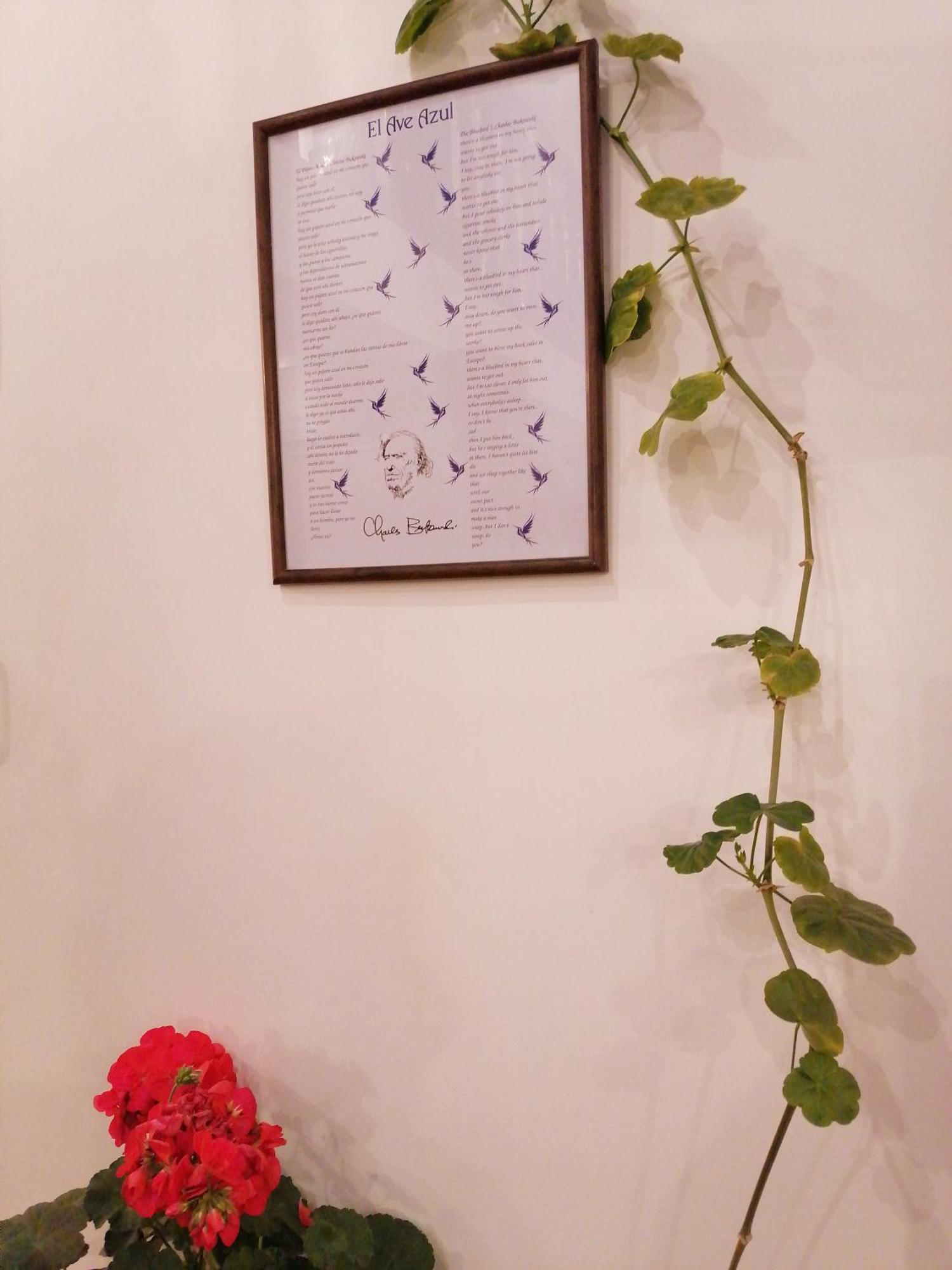 El Ave Azul Boutique Hotel 쿠스코 외부 사진